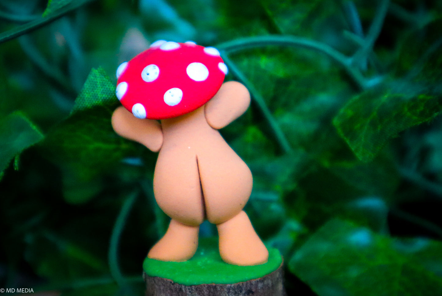 Single Mushroom